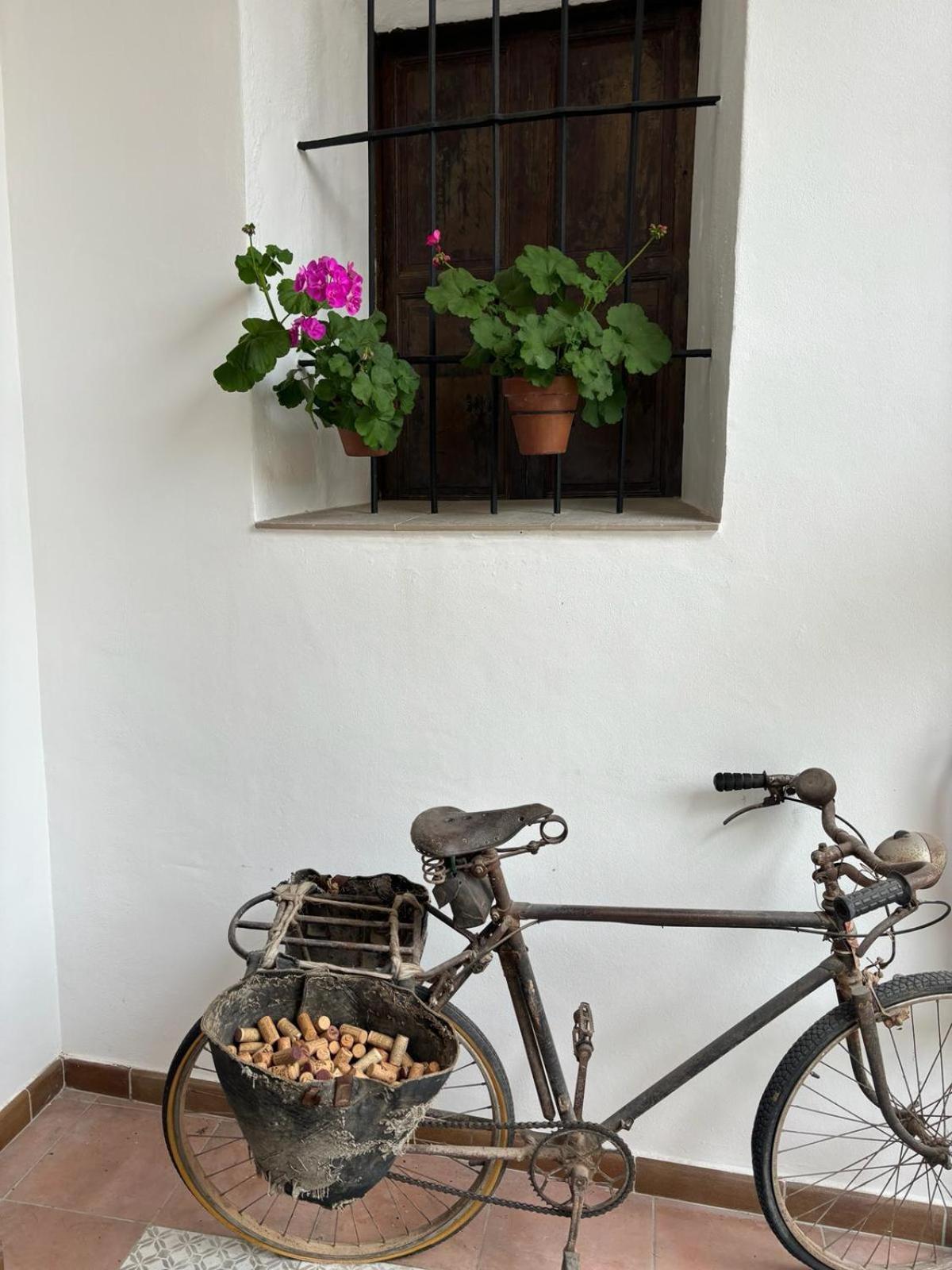 Art Boutique La Casona De Las Flores Ondara Zewnętrze zdjęcie